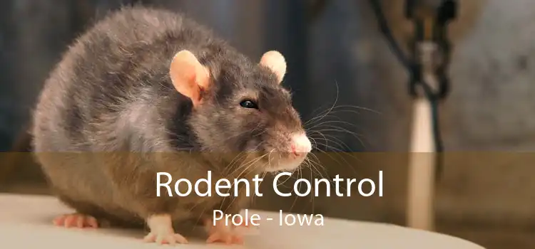 Rodent Control Prole - Iowa