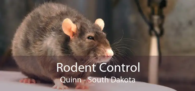 Rodent Control Quinn - South Dakota
