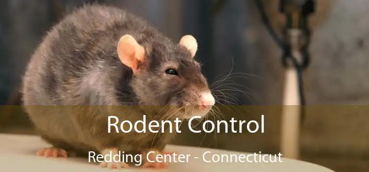 Rodent Control Redding Center - Connecticut