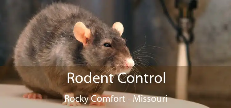 Rodent Control Rocky Comfort - Missouri