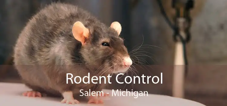 Rodent Control Salem - Michigan