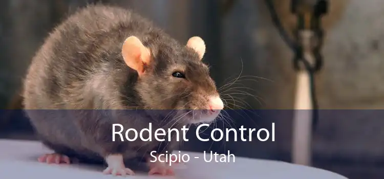 Rodent Control Scipio - Utah