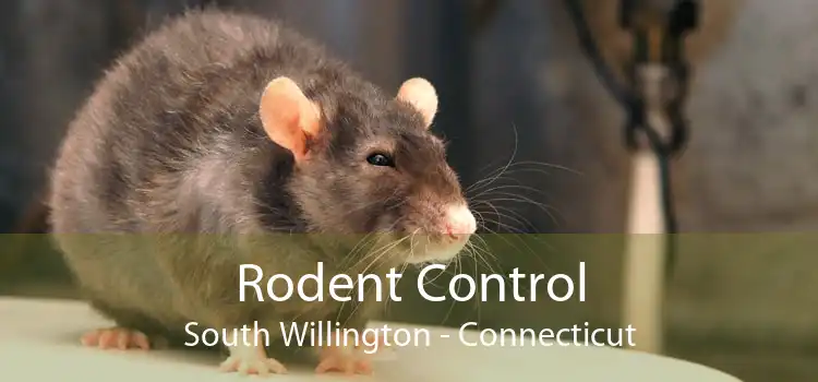 Rodent Control South Willington - Connecticut