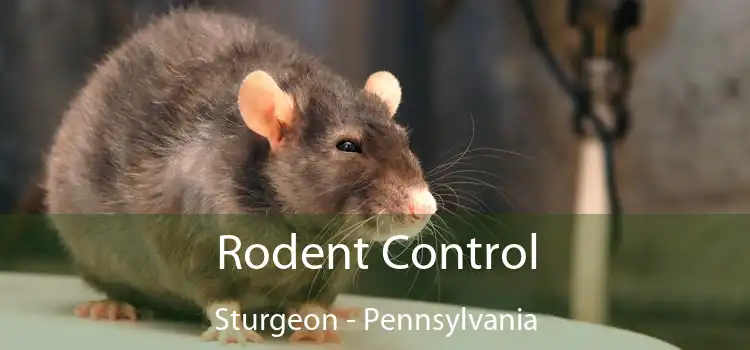 Rodent Control Sturgeon - Pennsylvania