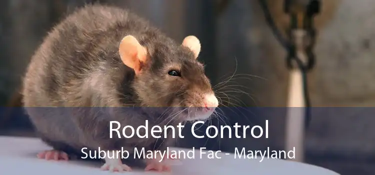 Rodent Control Suburb Maryland Fac - Maryland