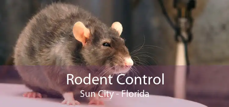 Rodent Control Sun City - Florida