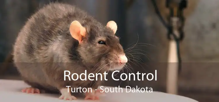 Rodent Control Turton - South Dakota
