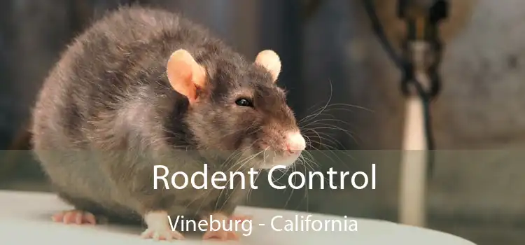 Rodent Control Vineburg - California