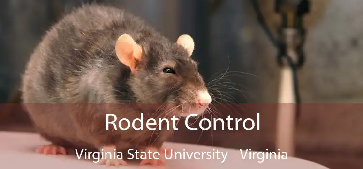 Rodent Control Virginia State University - Virginia