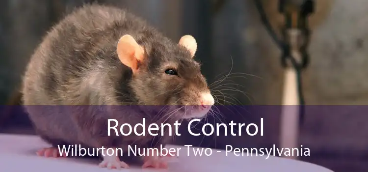 Rodent Control Wilburton Number Two - Pennsylvania