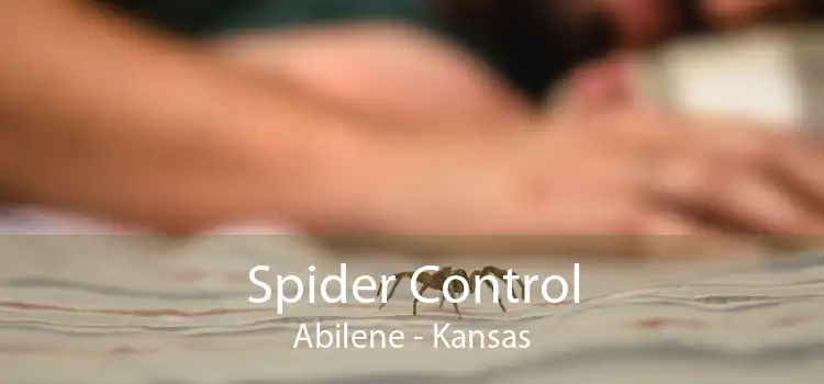Spider Control Abilene - Kansas