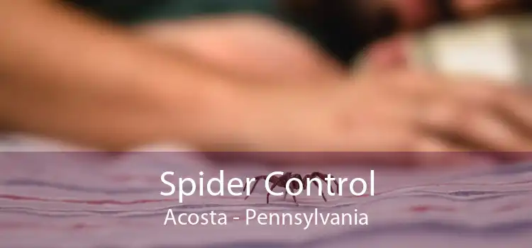 Spider Control Acosta - Pennsylvania