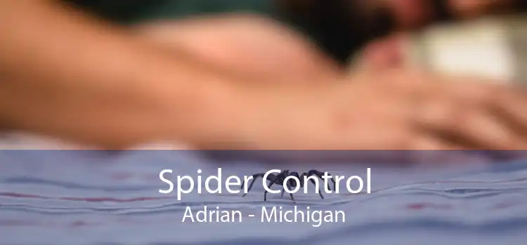 Spider Control Adrian - Michigan