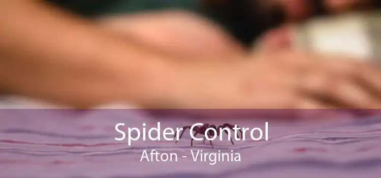 Spider Control Afton - Virginia