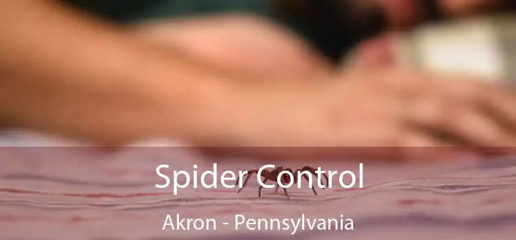 Spider Control Akron - Pennsylvania