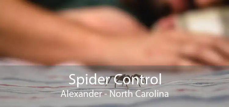 Spider Control Alexander - North Carolina