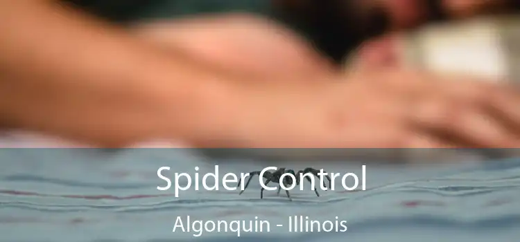 Spider Control Algonquin - Illinois