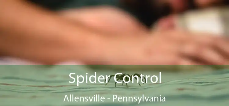 Spider Control Allensville - Pennsylvania