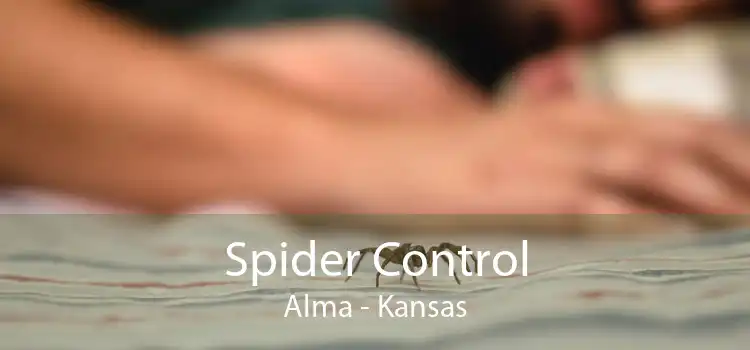 Spider Control Alma - Kansas