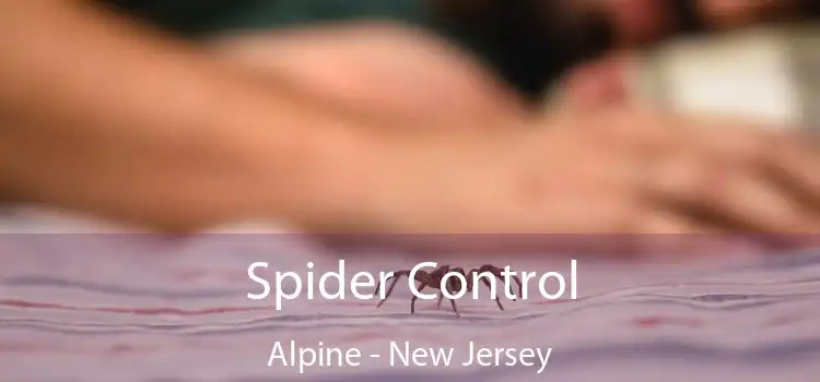 Spider Control Alpine - New Jersey