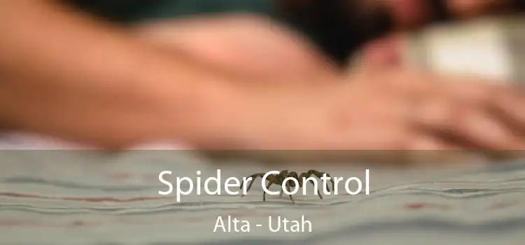 Spider Control Alta - Utah