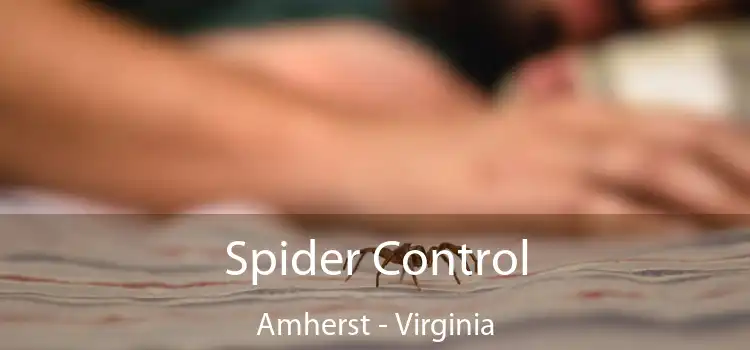Spider Control Amherst - Virginia