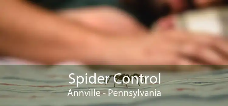 Spider Control Annville - Pennsylvania