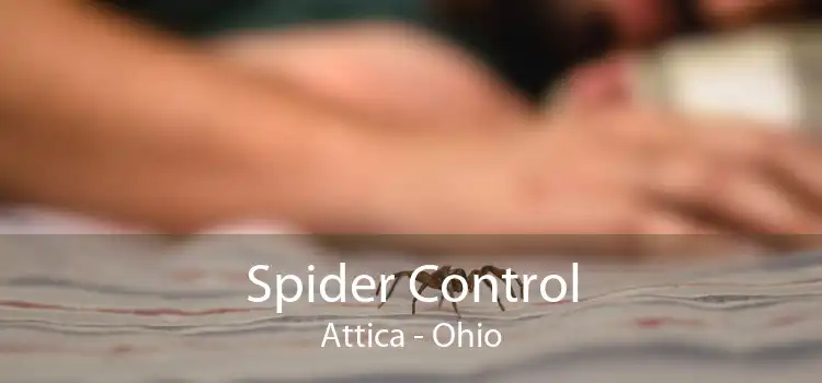 Spider Control Attica - Ohio