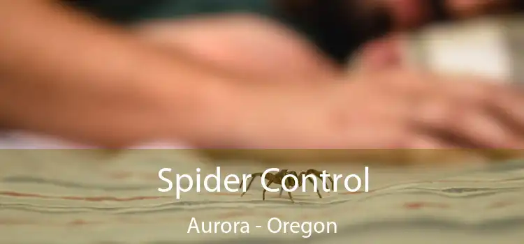 Spider Control Aurora - Oregon