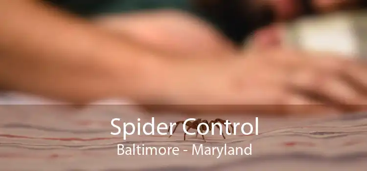 Spider Control Baltimore - Maryland