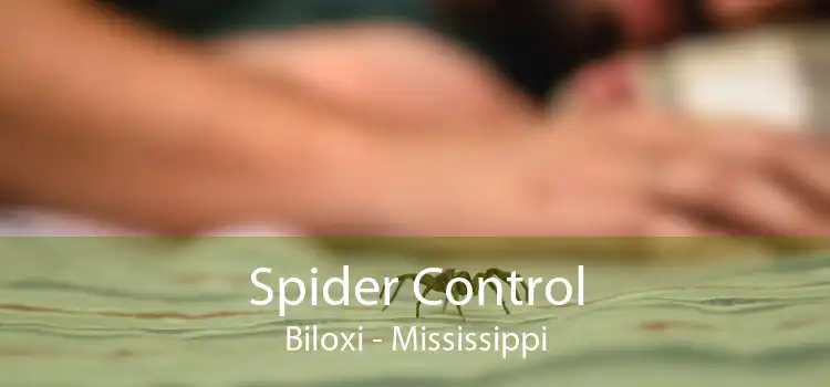 Spider Control Biloxi - Mississippi
