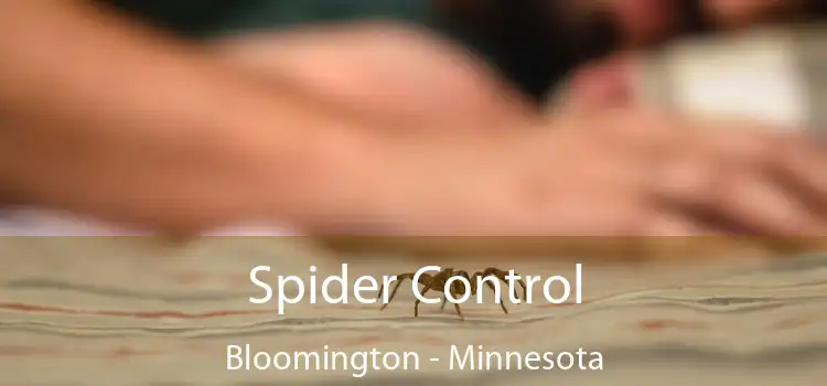 Spider Control Bloomington - Minnesota