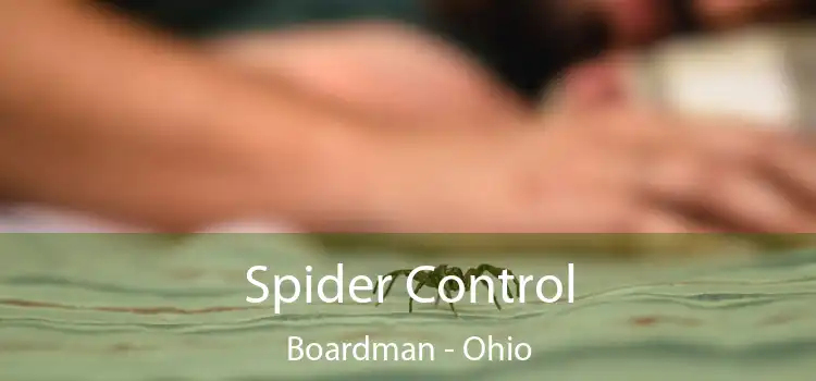 Spider Control Boardman - Ohio