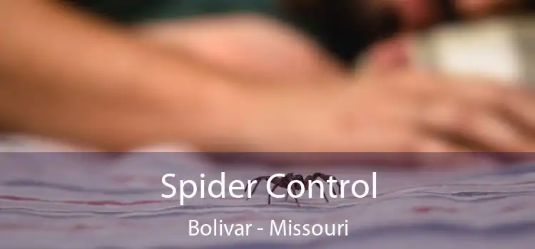 Spider Control Bolivar - Missouri