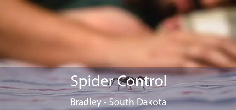 Spider Control Bradley - South Dakota