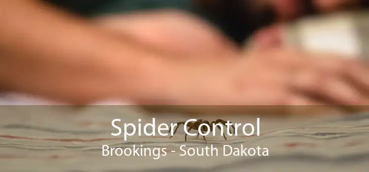 Spider Control Brookings - South Dakota