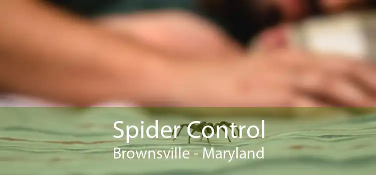 Spider Control Brownsville - Maryland