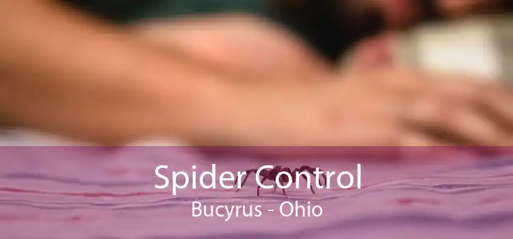 Spider Control Bucyrus - Ohio