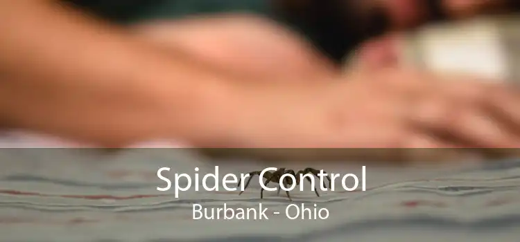 Spider Control Burbank - Ohio