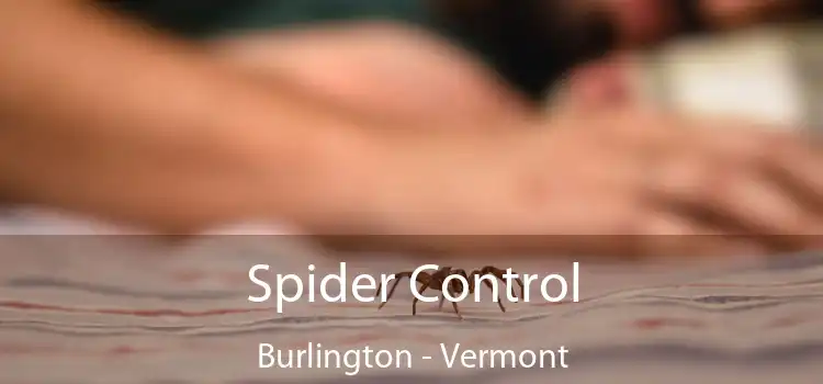 Spider Control Burlington - Vermont