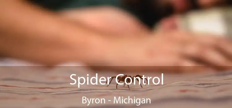 Spider Control Byron - Michigan