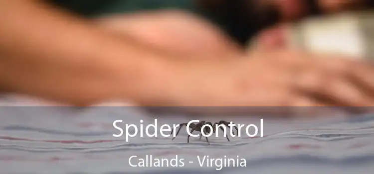 Spider Control Callands - Virginia