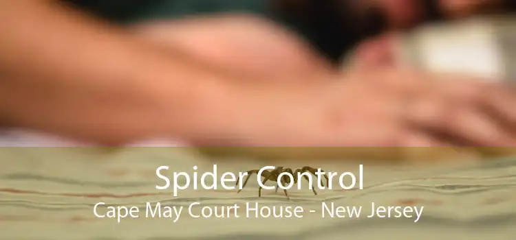 Spider Control Cape May Court House - New Jersey