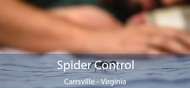 Spider Control Carrsville - Virginia