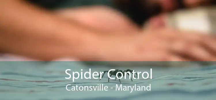 Spider Control Catonsville - Maryland