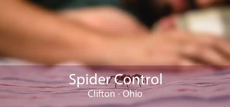 Spider Control Clifton - Ohio