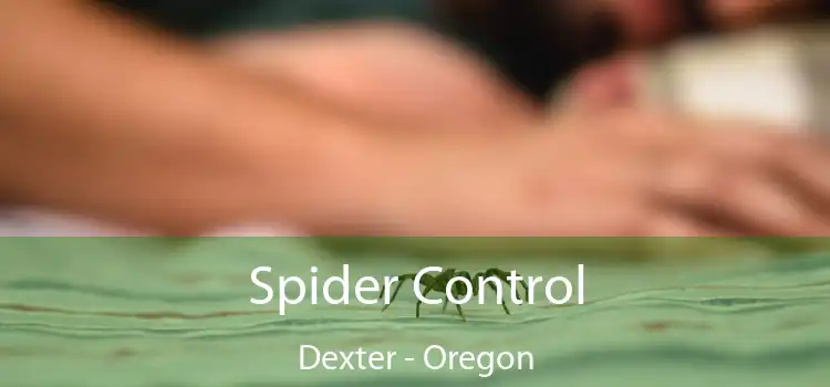 Spider Control Dexter - Oregon