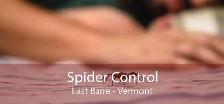 Spider Control East Barre - Vermont