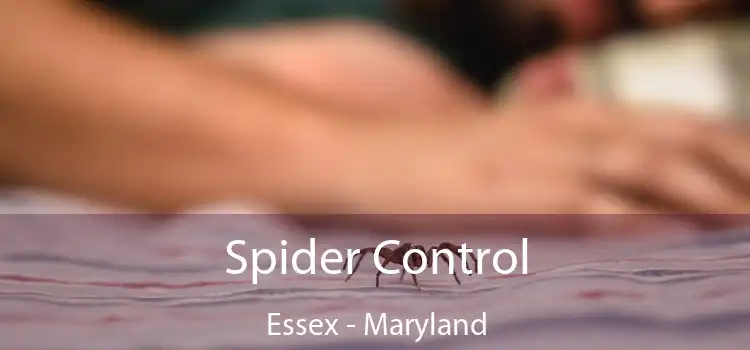 Spider Control Essex - Maryland