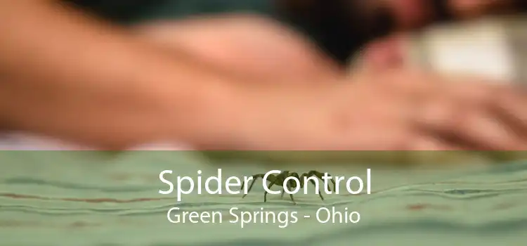 Spider Control Green Springs - Ohio